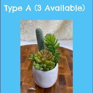 Faux succulents in 2.5”x3”H circular Pot (2 designs available).